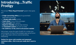 Traffic Prodigy Review 